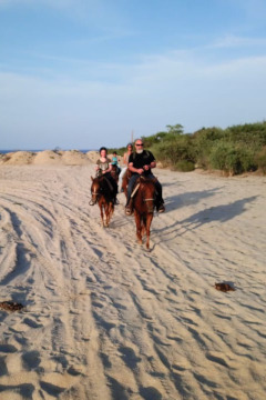 Baja Horseback Ride